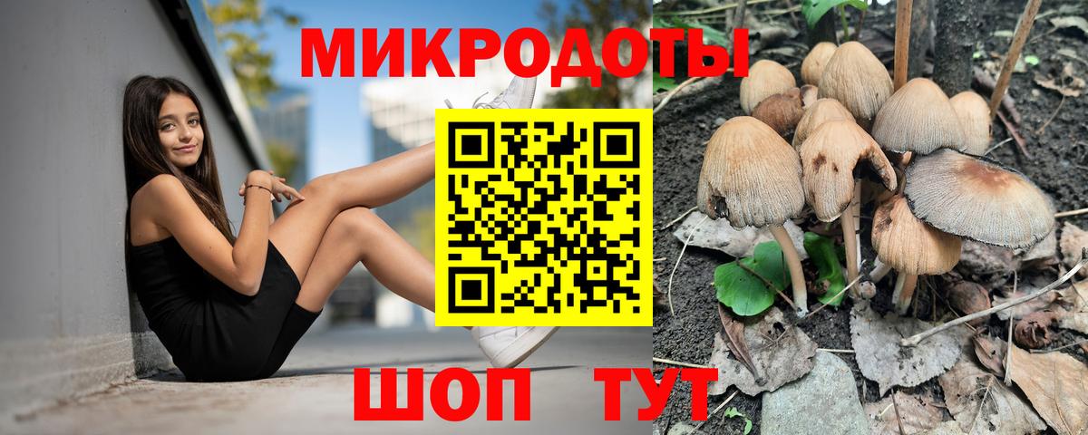 закладки  Вход с VPN  Карталы  Псилоцибиновые грибы прущие грибы 